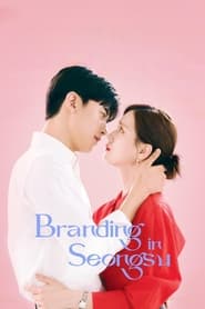 Branding in Seongsu (2024) subtitles - SUBDL poster