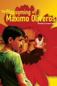 The Blossoming of Maximo Oliveros (Ang pagdadalaga ni Maximo Oliveros)