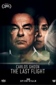 Carlos Ghosn - The Last Flight Arabic  subtitles - SUBDL poster