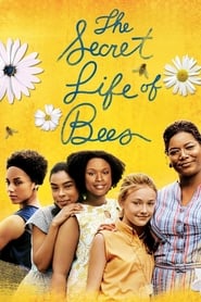 The Secret Life of Bees Portuguese  subtitles - SUBDL poster
