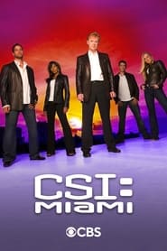 CSI: Miami (2002) subtitles - SUBDL poster