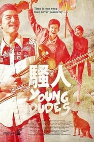 Young Dudes (2012) subtitles