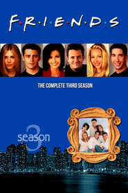 Friends French  subtitles - SUBDL poster