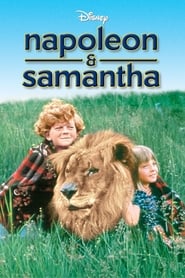 Napoleon and Samantha (1972) subtitles