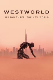 Westworld Italian  subtitles - SUBDL poster
