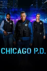 Chicago P.D. (2014) subtitles - SUBDL poster