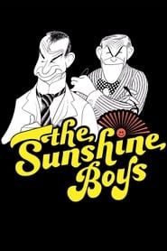 The Sunshine Boys (1975) subtitles