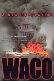 Waco: A New Revelation Spanish  subtitles - SUBDL poster
