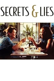 Secrets & Lies (1996) subtitles - SUBDL poster
