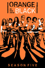 Orange Is the New Black Dutch  subtitles - SUBDL poster