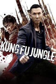 Kung Fu Jungle (2014) subtitles - SUBDL poster