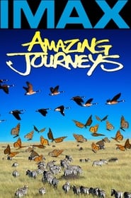 Amazing Journeys Arabic  subtitles - SUBDL poster