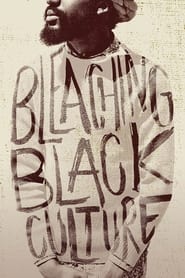 Bleaching Black Culture (2014) subtitles - SUBDL poster