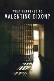 What Happened To Valentino Dixon? Finnish  subtitles - SUBDL poster