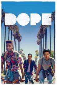 Dope (2015) subtitles - SUBDL poster