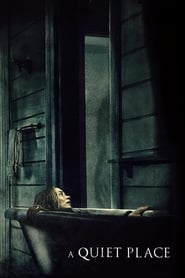 A Quiet Place English  subtitles - SUBDL poster