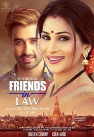 Friends in Law (2018) subtitles - SUBDL poster