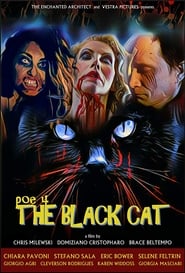 POE 4: The Black Cat (2017) subtitles - SUBDL poster