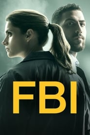 FBI Korean  subtitles - SUBDL poster