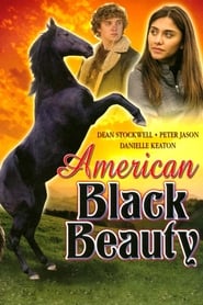 American Black Beauty (2005) subtitles - SUBDL poster
