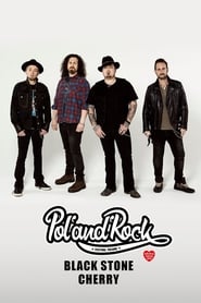 Black Stone Cherry - Pol'and'Rock Festival 2019 (2019) subtitles - SUBDL poster