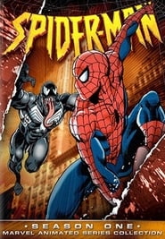 Spider-Man Arabic  subtitles - SUBDL poster