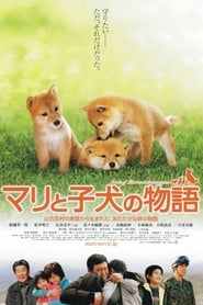 A Tale Of Mari And Three Puppies (マリと子犬の物語)