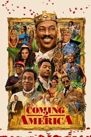 Coming 2 America (2021) subtitles - SUBDL poster