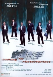 Looking for Mr. Perfect (奇逢敵手 / Kei fung dik sau)