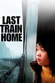 Last Train Home (Gui tu lie che)