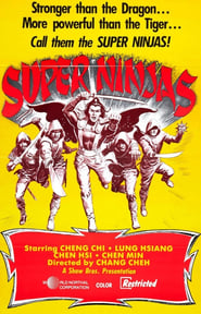 Five Element Ninjas AKA Chinese Super Ninjas (五遁忍術 / Ren zhe wu di) Arabic  subtitles - SUBDL poster
