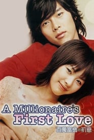 A Millionaire's First Love Farsi_persian  subtitles - SUBDL poster