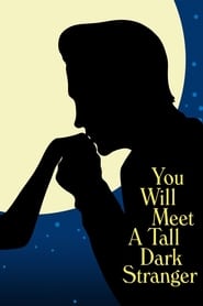 You Will Meet a Tall Dark Stranger English  subtitles - SUBDL poster