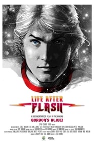 Life After Flash (2017) subtitles