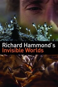 Richard Hammond's Invisible Worlds (2010) subtitles - SUBDL poster