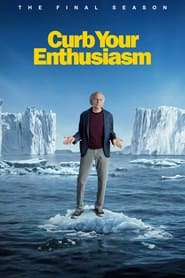 Curb Your Enthusiasm Spanish  subtitles - SUBDL poster