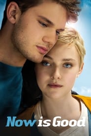 Now Is Good (2012) subtitles