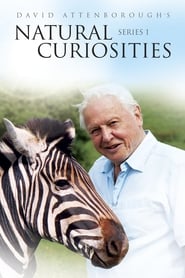 David Attenborough's Natural Curiosities