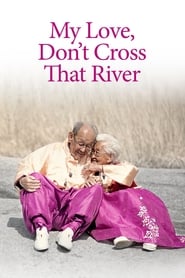 My Love, Don't Cross That River Farsi_persian  subtitles - SUBDL poster