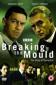 Breaking the Mould (2009) subtitles - SUBDL poster