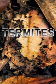 Termites: The Inner Sanctum (2012) subtitles