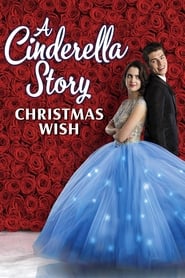 A Cinderella Story: Christmas Wish (2019) subtitles