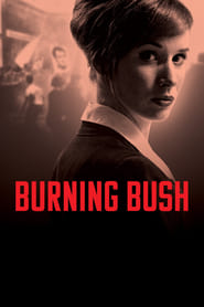 Burning Bush (2013) subtitles - SUBDL poster
