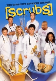 Scrubs French  subtitles - SUBDL poster