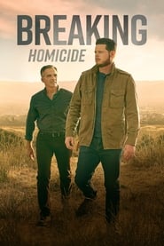 Breaking Homicide (2018) subtitles - SUBDL poster