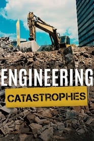 Engineering Catastrophes English  subtitles - SUBDL poster