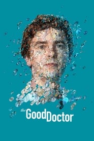 The Good Doctor (2017) subtitles - SUBDL poster