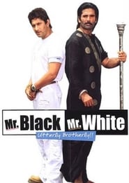 Mr. White Mr. Black English  subtitles - SUBDL poster