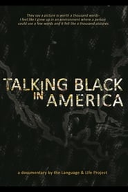 Talking Black in America (2017) subtitles - SUBDL poster