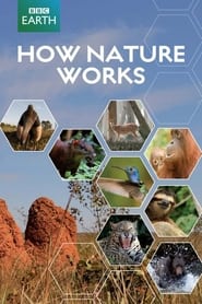How Nature Works (2013) subtitles - SUBDL poster